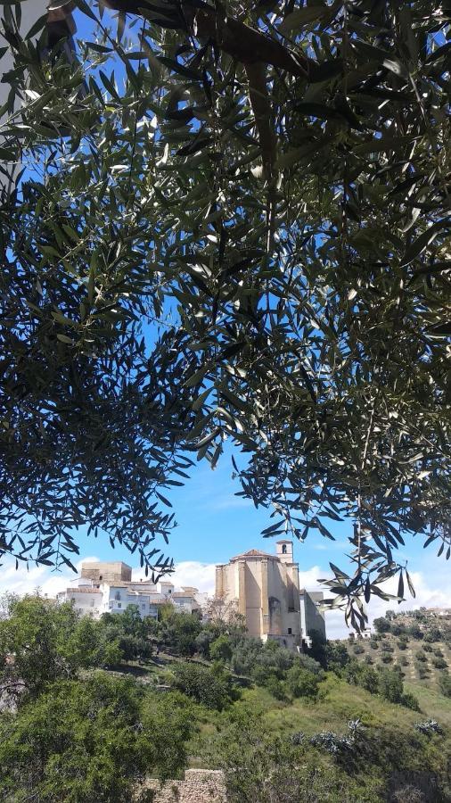 Apartamento El Carmen Setenil De Las Bodegas Екстер'єр фото
